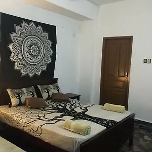  Гостевой дом Zen House